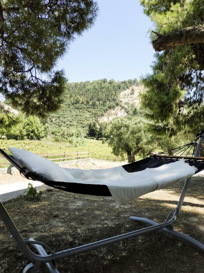 Villa Conifera Ζάκυνθος Πόλη Εξωτερικό φωτογραφία